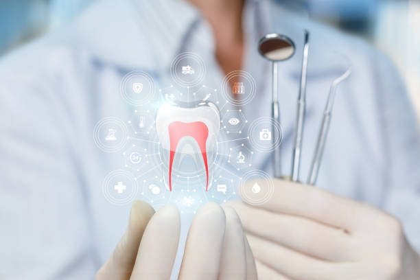 Best Preventive Dentistry  in Brooklyn Park, MD